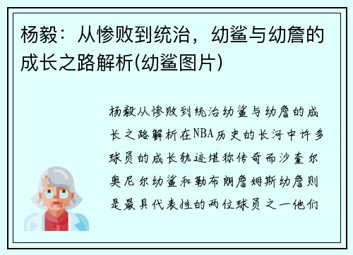 杨毅：从惨败到统治，幼鲨与幼詹的成长之路解析(幼鲨图片)