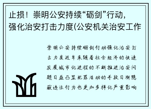 止损！崇明公安持续“砺剑”行动，强化治安打击力度(公安机关治安工作亮点)
