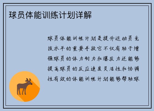 球员体能训练计划详解